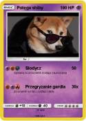 Potęga shiby