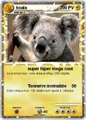 koala