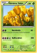 Harmless Tulips
