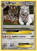 Tigre