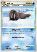 walrus