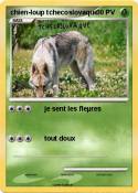 chien-loup