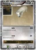 hunddog