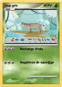 loup gris