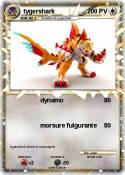 tygershark