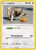 pugachu