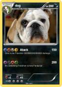 dog