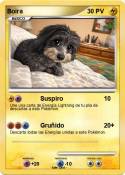 Boira