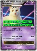 Fleek cat