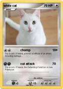 white cat