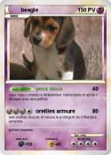 beagle