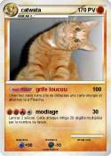 catwata