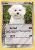my dog