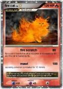 fire cat