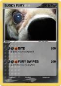 BUDDY FURY