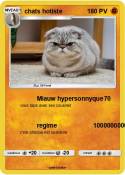 chats hotiste