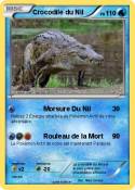 Crocodile du