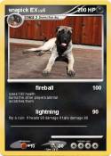 snapick EX
