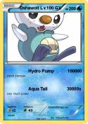 Oshawott Lv.100