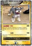 my dog