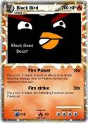 Black Bird