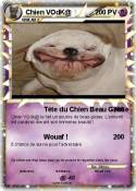 Chien VOdK@