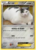 fat cat