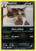 Weird Cat