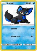Icepup