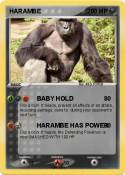 HARAMBE