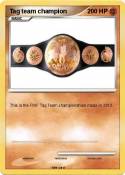 Tag team champi