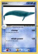 whale
