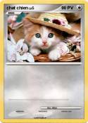 chat chien