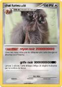 chat furieu