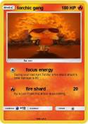 torchic gang