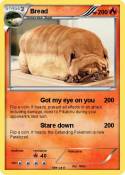 Bread