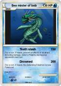 Sea mister of