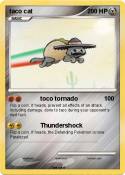 taco cat