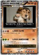 WHOS AWESOME