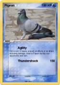 Pigeon