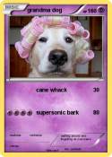 grandma dog