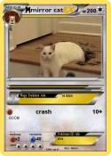 mirror cat
