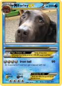 Barley