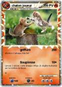 chaton joueur