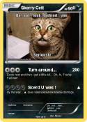 Skerry Cett