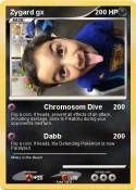 Zygard gx