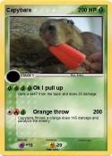 Capybara