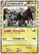#1 harness
