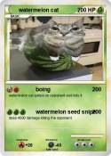 watermelon cat