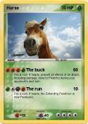 Horse